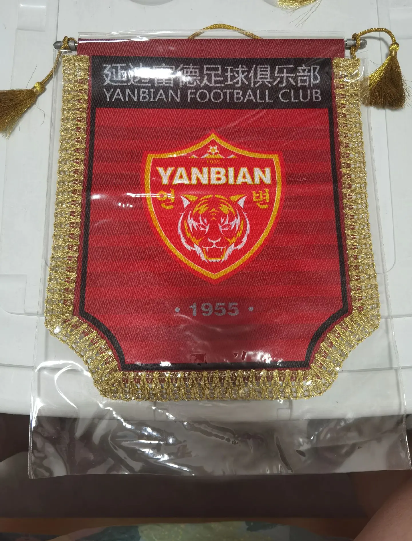 关于跨境德比：延边富德出击，挑战长春亚泰主场霸气的信息