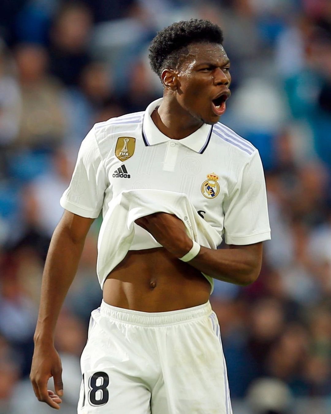 开云体育入口-拜仁绝杀奥地利，楚阿梅尼状态火热