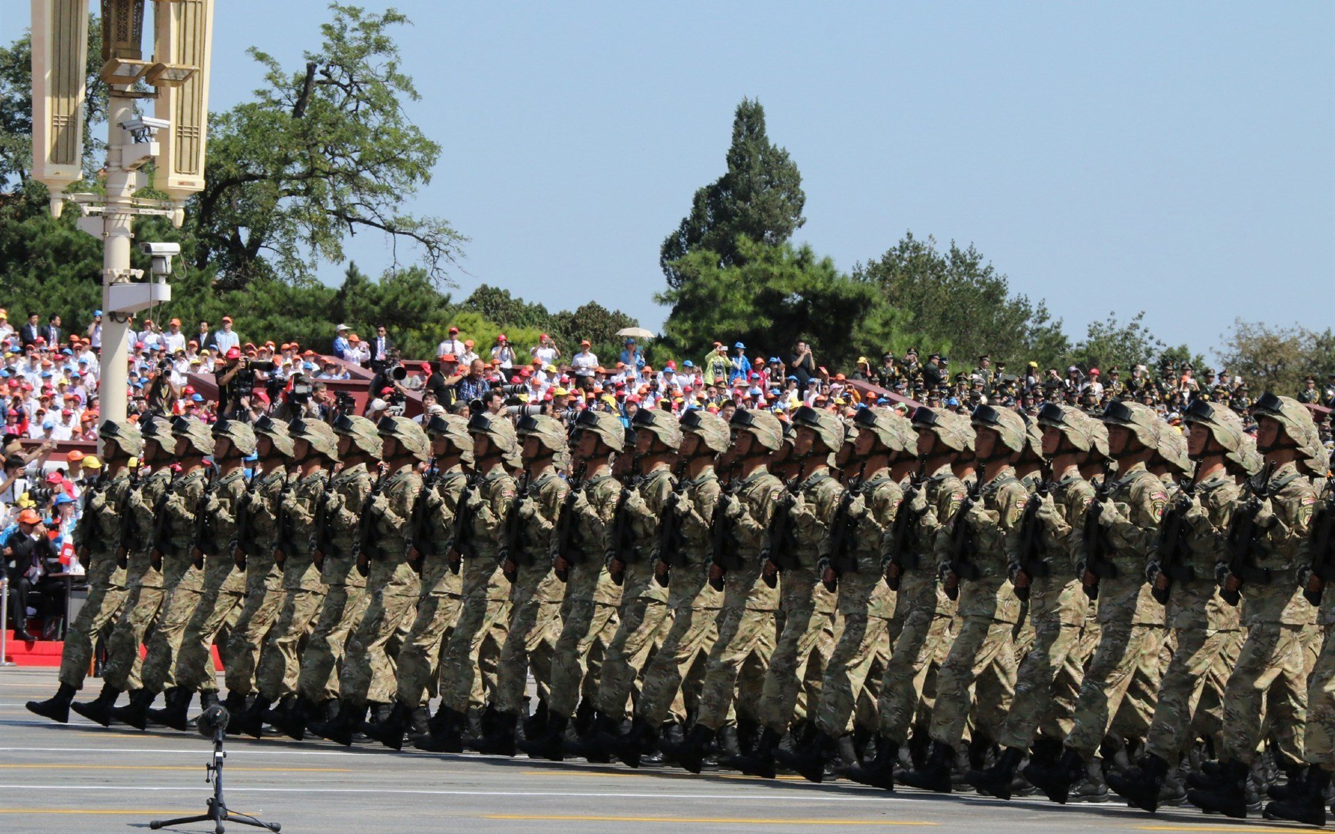 钢铁巨网，猛龙撕碎黄蜂背后的戈贝尔式统治哲学