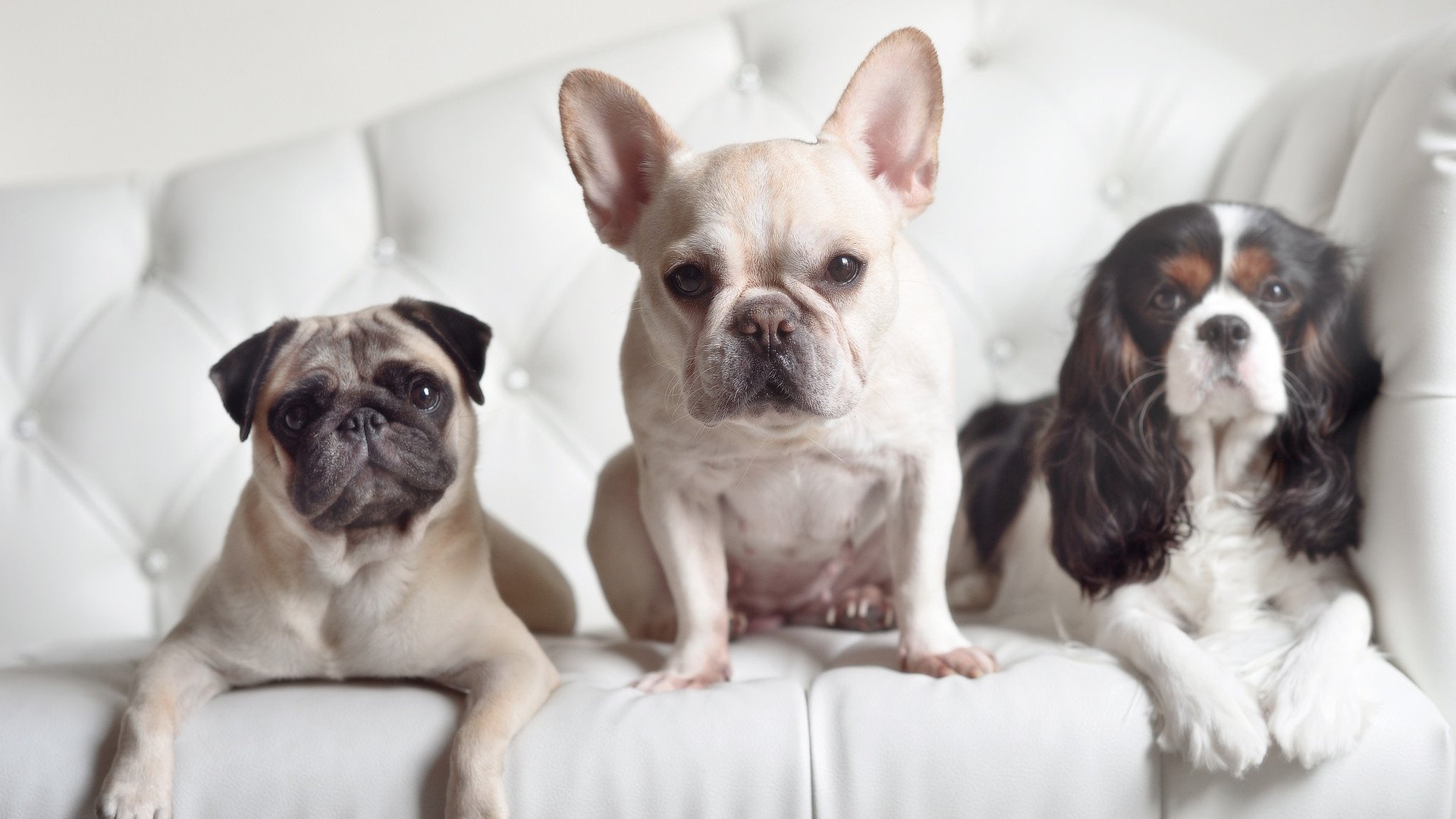 中场艺术家与红土绞肉机,若日尼奥如何将一场粗粝对决谱写成个人统治诗篇