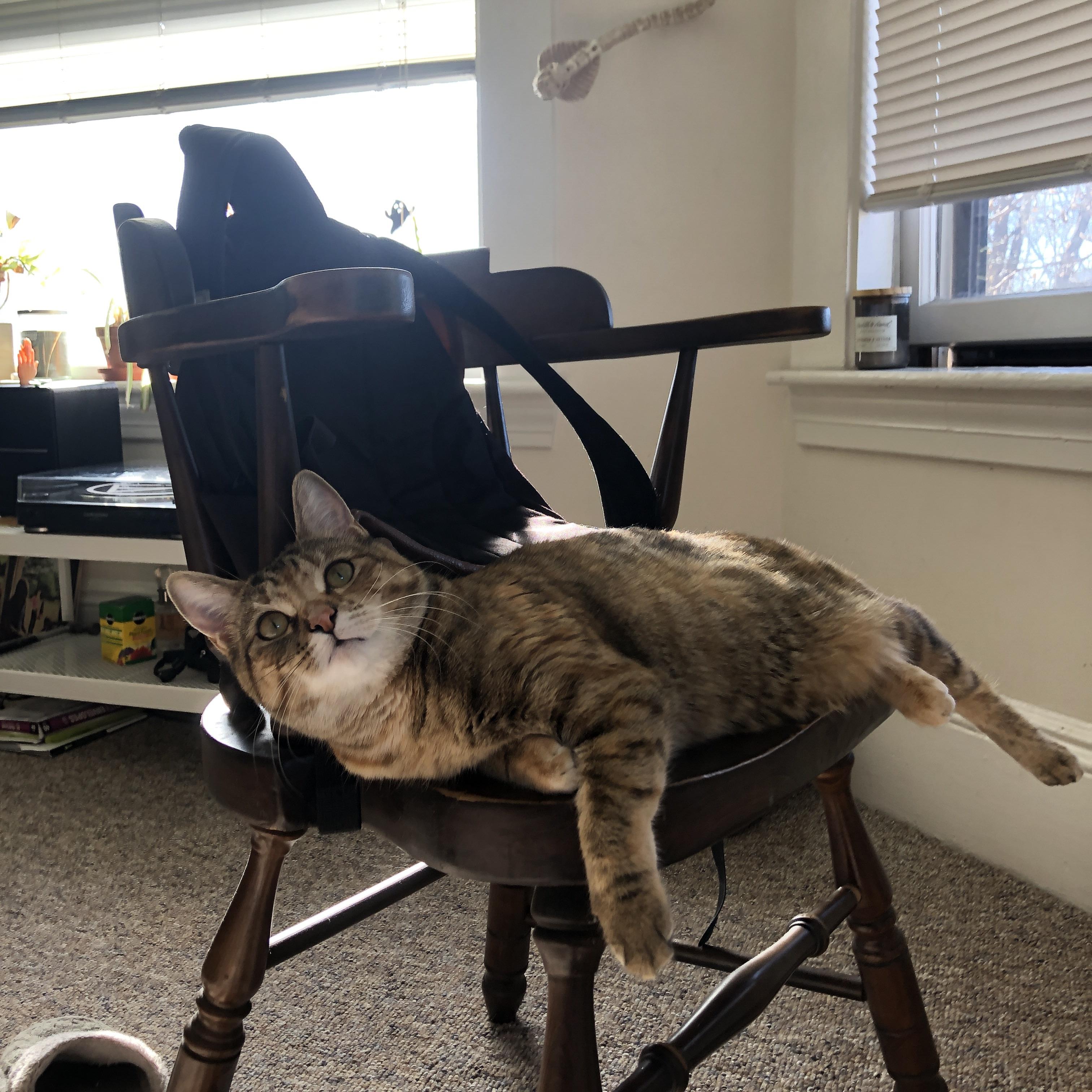 黄喜灿关键进球定乾坤，皇家社会友谊赛险胜丹麦