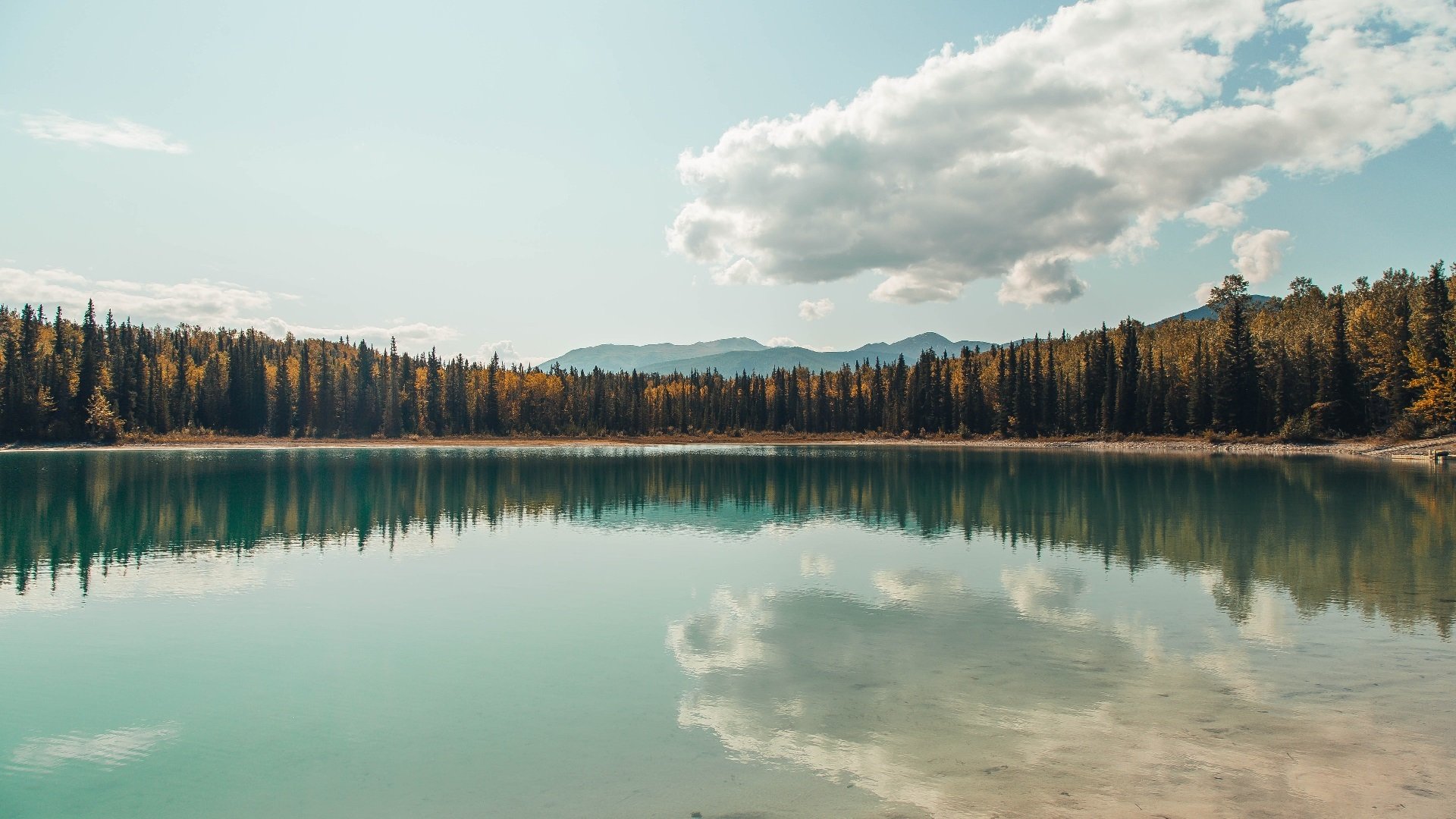马克西魔幻之夜独砍40+10，活塞重拳出击击溃上海男篮！