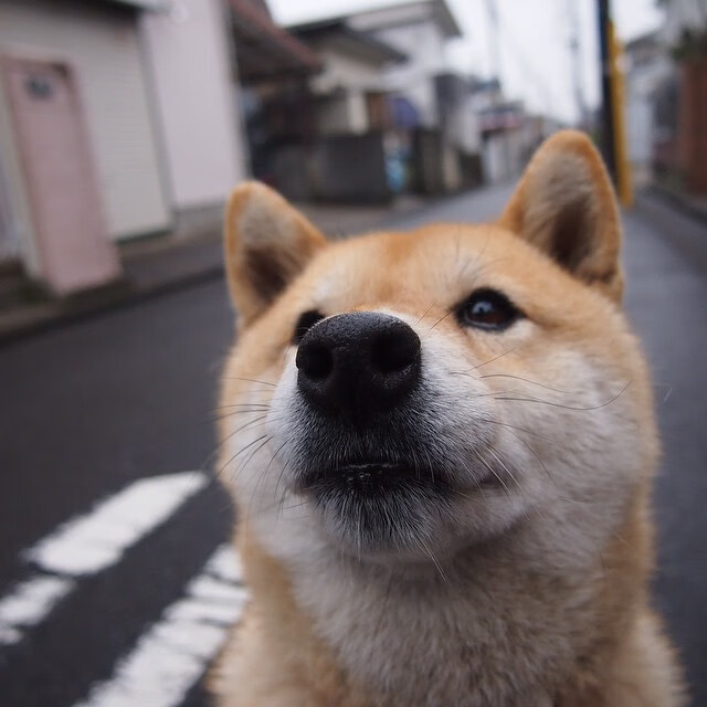 马克西导演浙江风暴，一役封神的完美一夜