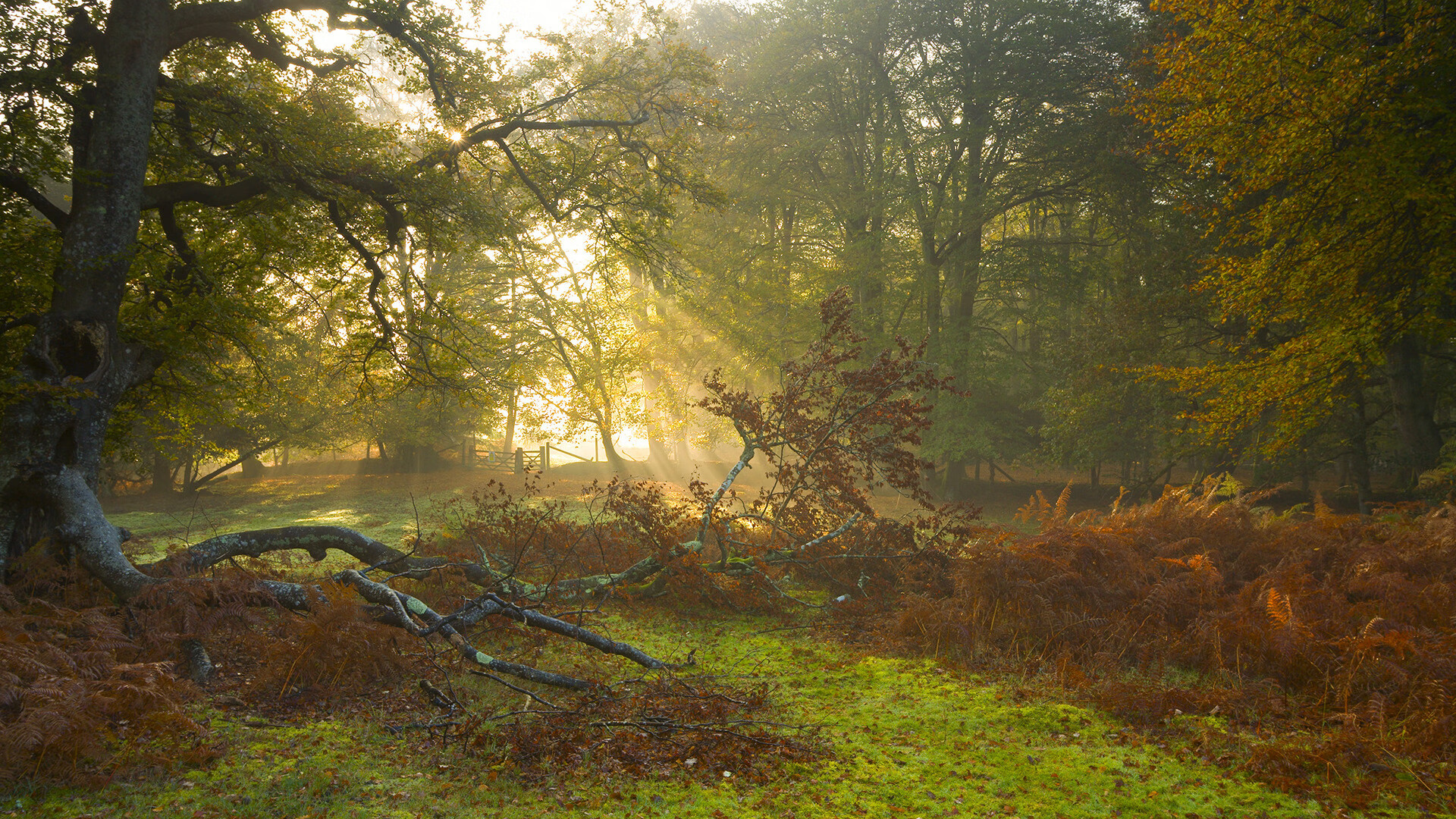 开云平台-曼城对阵新西兰，莫德里奇的节奏大师秀