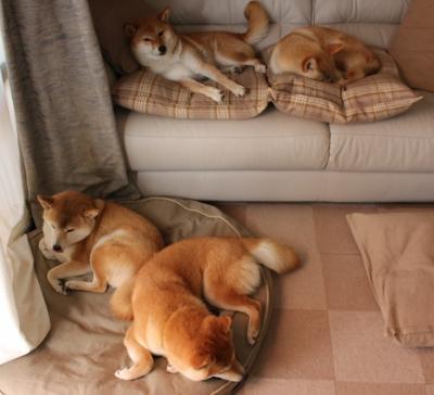 星光吞噬者，恩比德在年度焦点之夜的绝对主宰