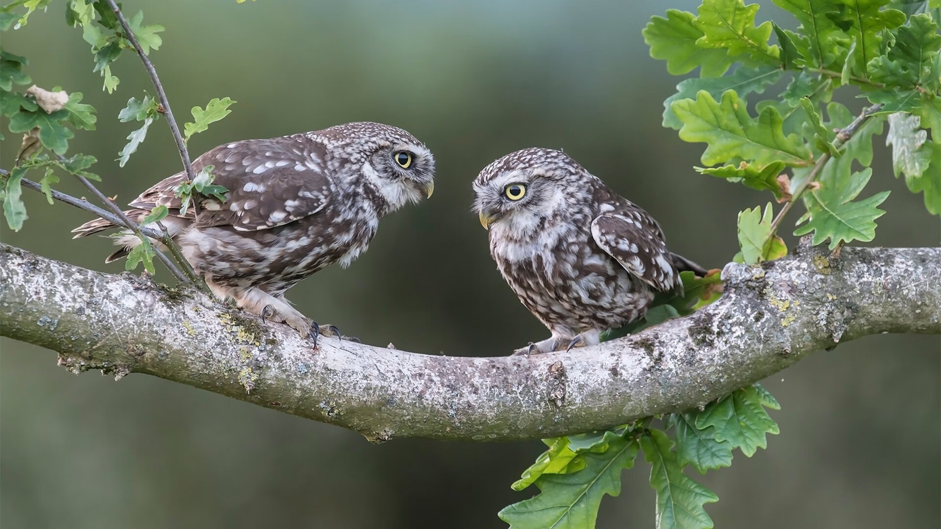 在所有人的无声时刻，他举起了喧哗