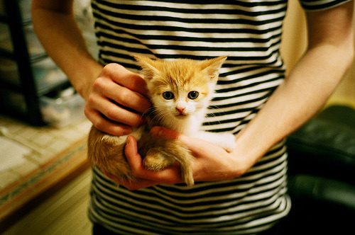 欧冠焦点战惊魂夜，莱比锡红牛末节逆转，尤文图斯痛失好局