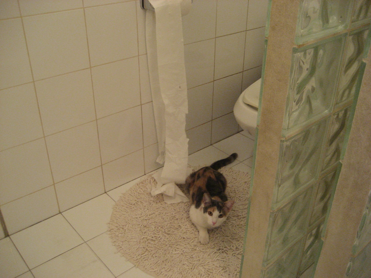 当休斯顿火箭撞碎浙江万马，哈利伯顿正在慕尼黑改写剧本