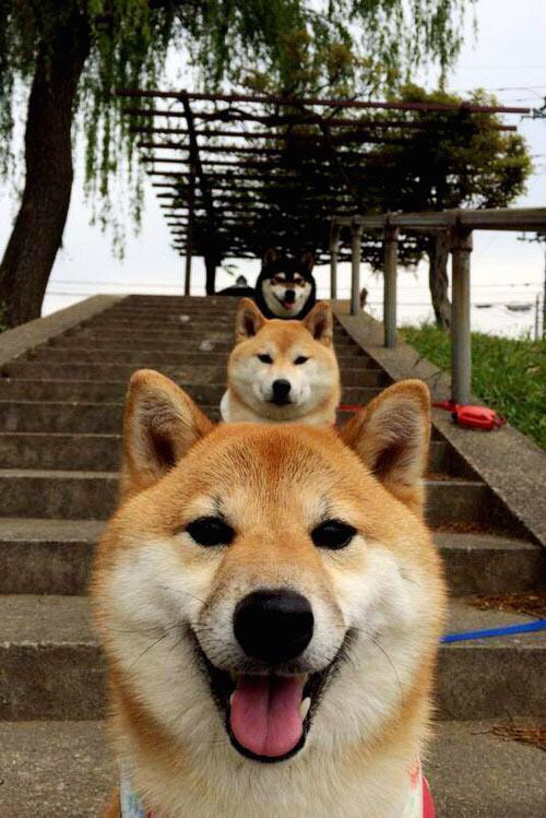 开云体育在线-几内亚掀翻德国，伊萨克的关键先生时刻