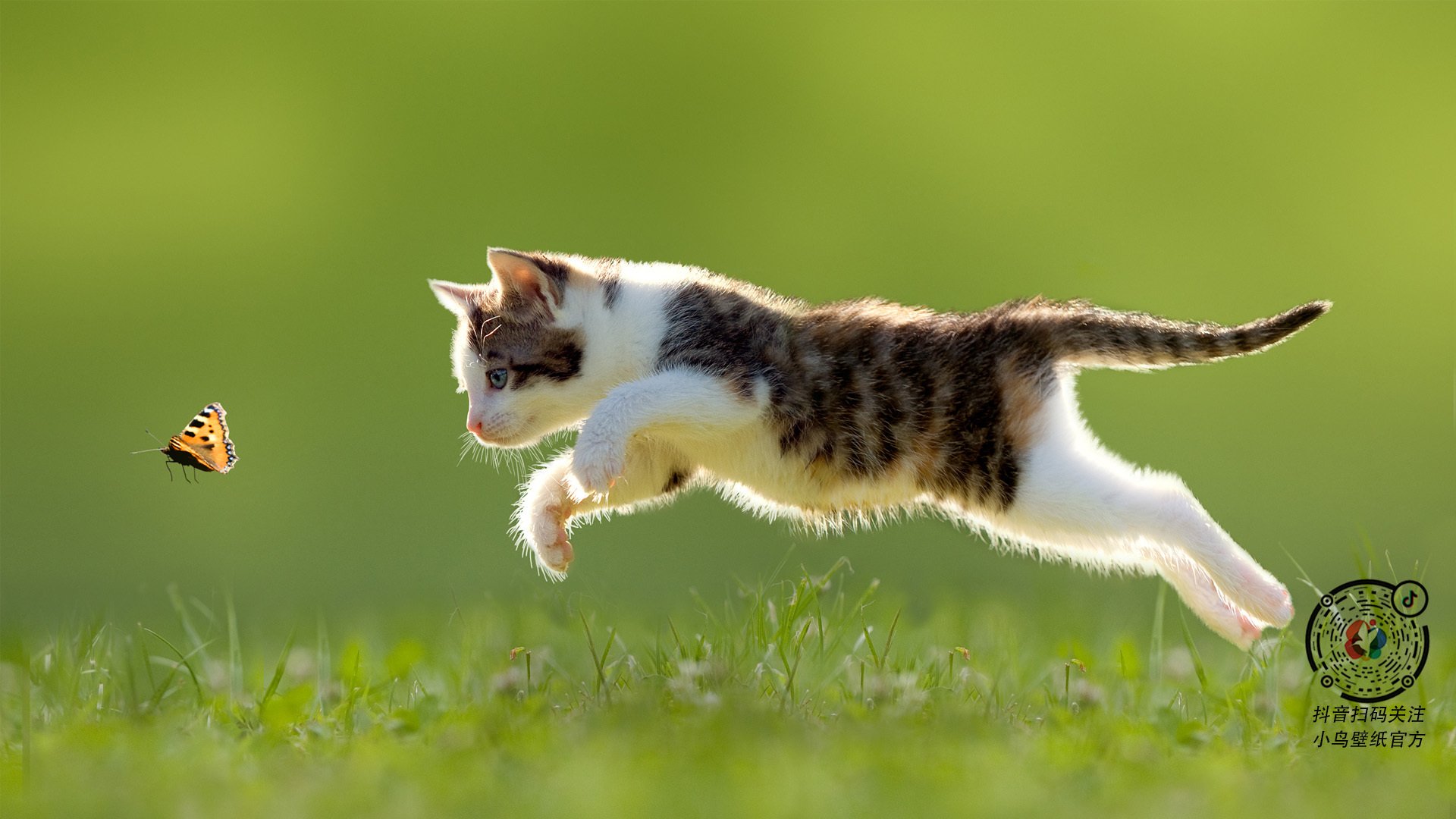 开云体育中国-萨卡的锐利与佛罗伦萨的逆袭，穿透性与韧性的现代寓言