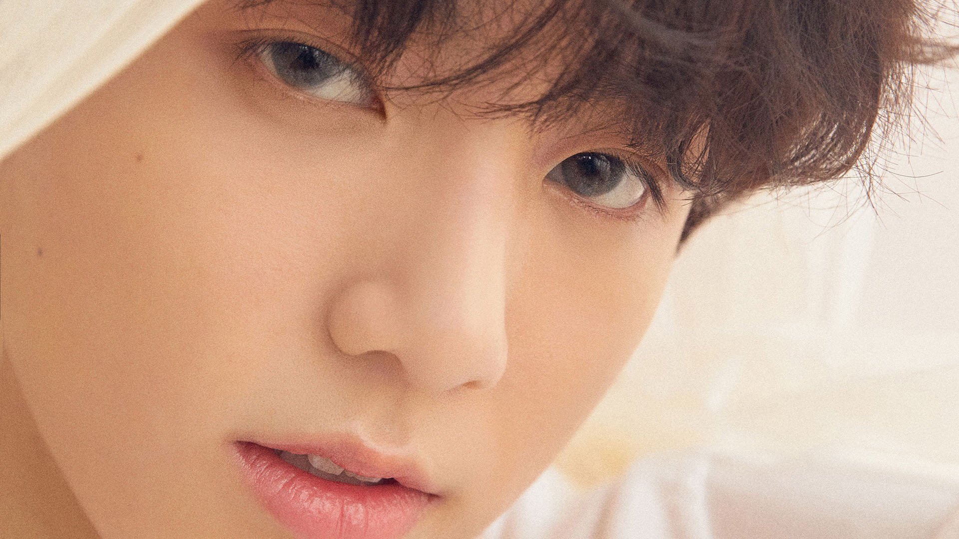 开云体育-双线告捷，鹈鹕硬仗险胜森林狼，克莱闪耀意甲焦点战