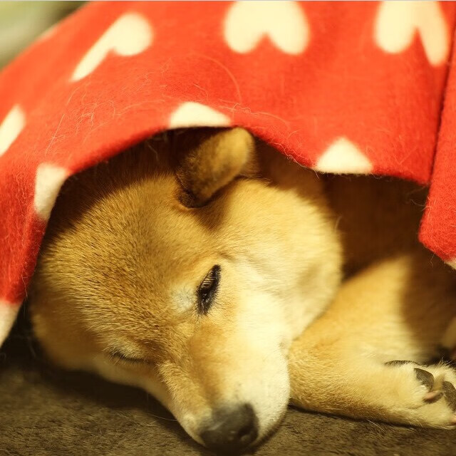 开云体育在线-富安健洋凌空斩定乾坤，莱比锡红牛欧冠客场力擒瑞典劲旅