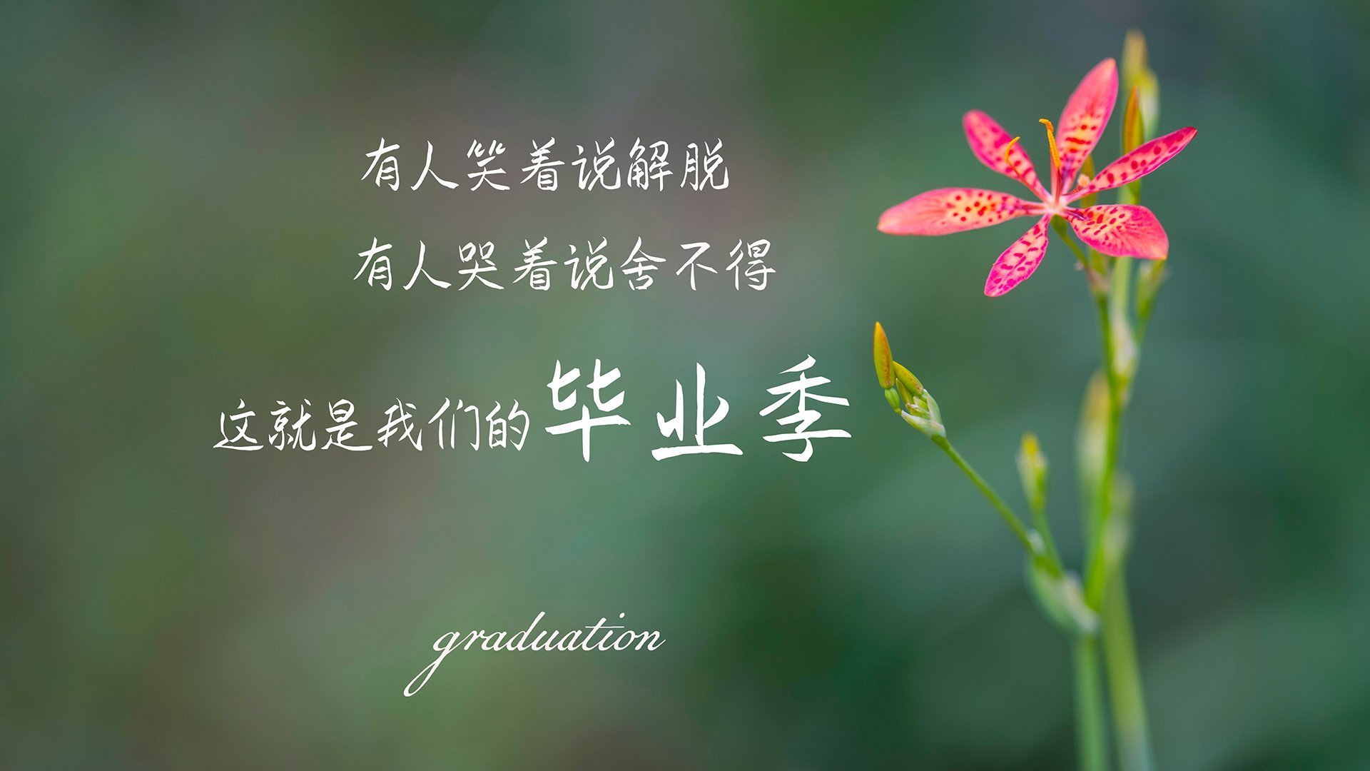 开云平台-压制的游戏与超越的舞台，当强权在边界施压，英雄在小径突围