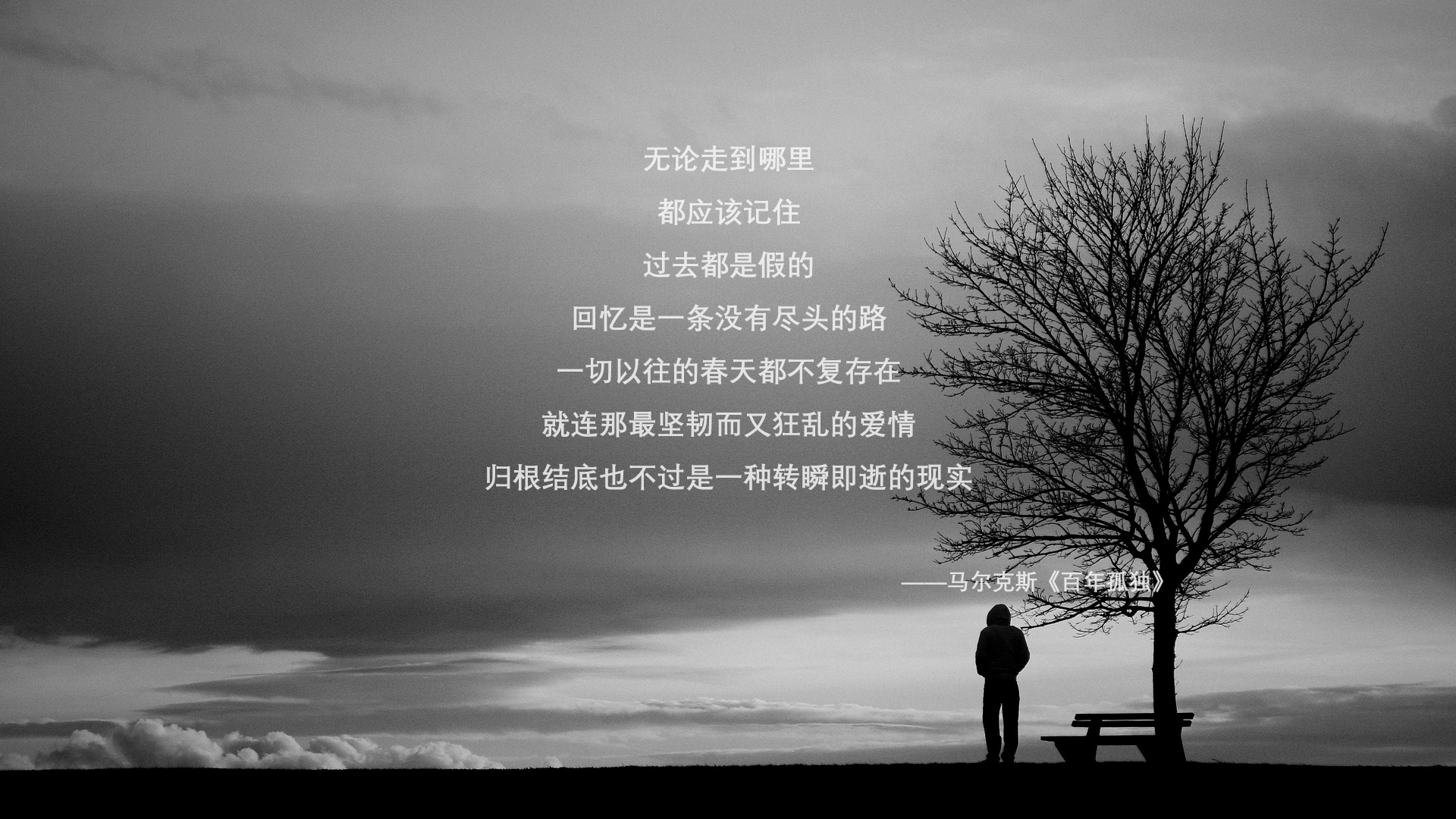 红蓝狂飙下的冷血狩猎，伊朗碾压匈牙利，巴雷拉封神之夜与门将的神迹铸就2026世界杯C组最大震撼