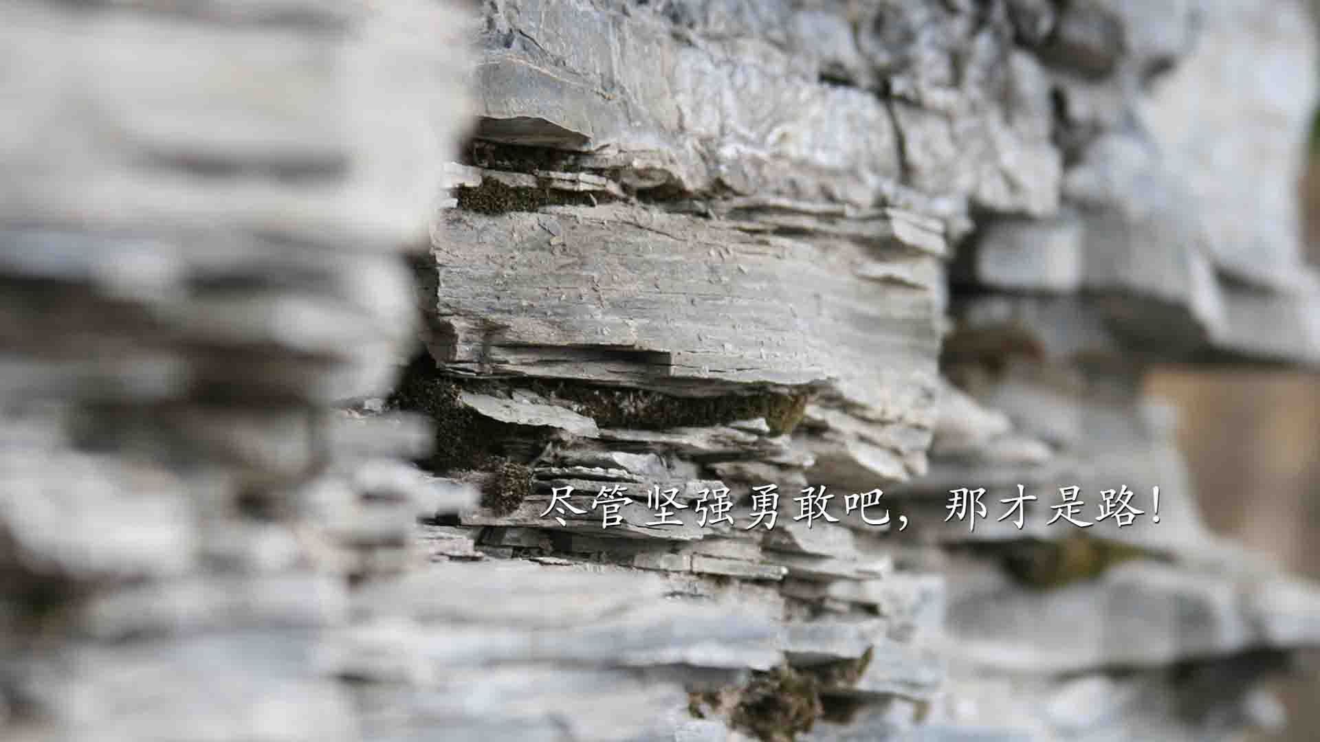 沙漠之狮与桑巴之舞，内马尔闪耀2026世界杯焦点战，沙特2-1逆转巴西