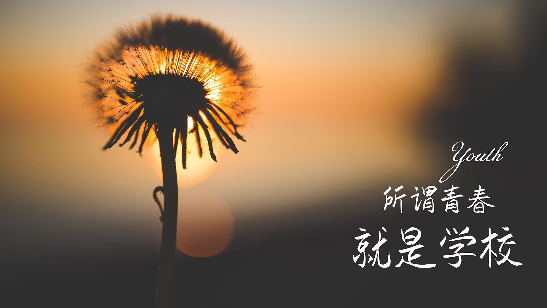 开云体育app-哥本哈根之夜的奇迹，维尼修斯压哨绝杀，丹麦险胜乌拉圭